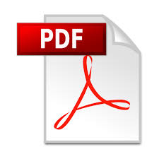 Download response as PDF
